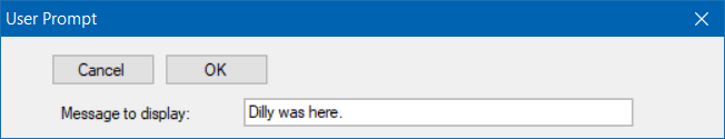 User Prompt